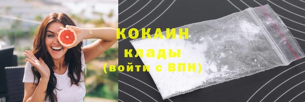 прущие грибы Армянск