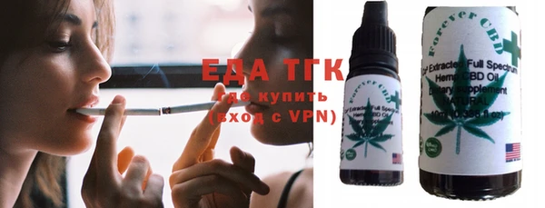 индика Елабуга