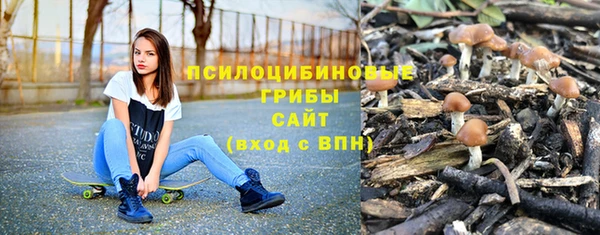 винт Арсеньев