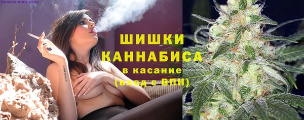 молекула духа Аркадак