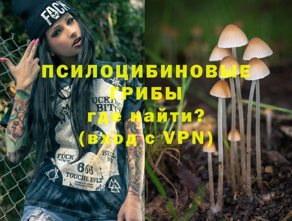 прущие грибы Армянск