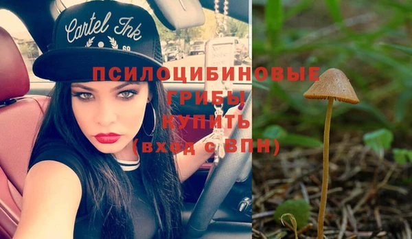 винт Арсеньев