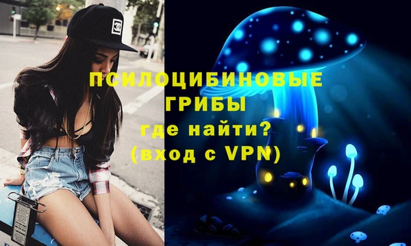 винт Арсеньев